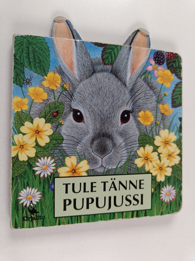 Susan Robertson : Tule tänne pupujussi
