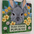 Susan Robertson : Tule tänne pupujussi - pikkukuva 1