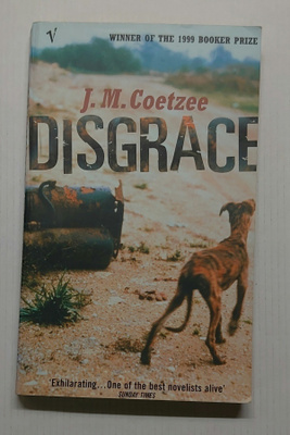 J.M. Coetzee - Disgrace