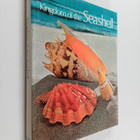 Robert Tucker Abbott : Kingdom of the Seashell - pikkukuva 1