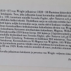 Ferdinand von Wright "Punakaulahanhi" - pikkukuva 4