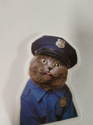 Kissa tarra.