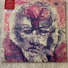 SEPPO PARONI PAAKKUNAINEN / PLASTIC MAAILMA LP - pikkukuva 1