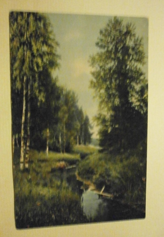 Ruovesi, Metsäoja, vanha väripk, p. 1912