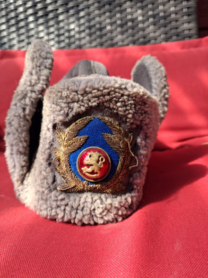 Upseerin päällystakki musta C48 + talvipäähine 55