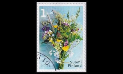 2227 o kesäkimppu (2013)
