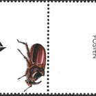 Ål 2006 Kovakuoriaisia 2,00 € välilöpari logo EPL LaPe 261 - pikkukuva 2