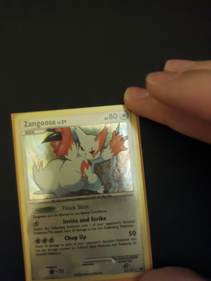 Zangoose 66/127 rare holo card