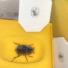 Swarovski 5668994 SCS 2024 PWP/GWP Beetle (2024-2024) - pikkukuva 4
