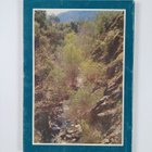 Christos Ch Georgiades : Nature of Cyprus : Environment, ... - pikkukuva 2