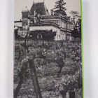 Andrew Durkan : Vendange - A Study of Wine and Other Drinks - pikkukuva 2