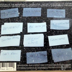 NEIL YOUNG Are You Passionate CD 2002 HUIPPUKUNTO - pikkukuva 2