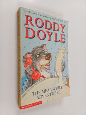 Roddy Doyle : The Meanwhile Adventures