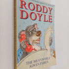 Roddy Doyle : The Meanwhile Adventures - pikkukuva 1