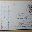 Poika temppuilee kanahäkin päällä, tyttö tuo ruokaa, p. 1924 - pikkukuva 2