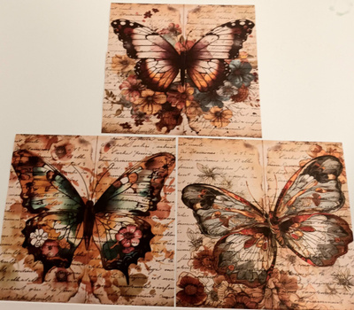 Kuviopaperi PERHONEN / 3 kpl -setti / 15 x 14 cm