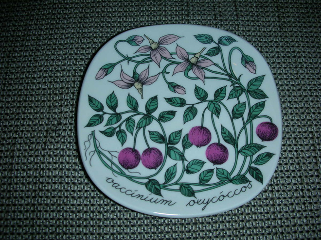 Arabia Botanica Tomula seinälautanen karpalo