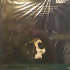 STEPPENWOLF - STEPPENWOLF LIVE - REISSUE M-/EX LP - pikkukuva 2