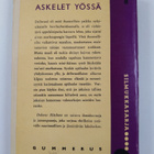Dolores Hitchens : Askelet yössä : jännitysromaani - pikkukuva 2