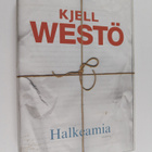 Kjell Westö : Halkeamia : valikoituja tekstejä 1986-2011 - pikkukuva 1