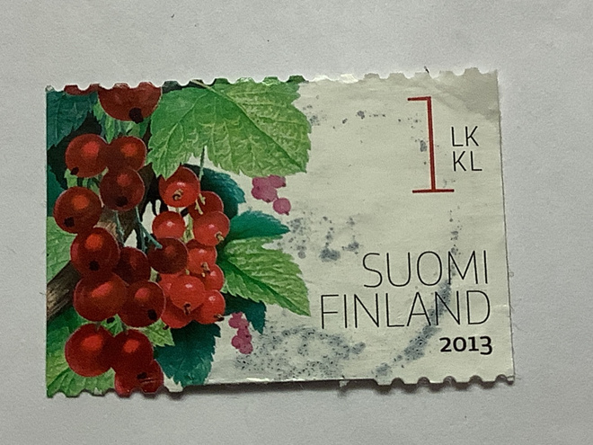 2213/ 2013 Punaherukka o leimattu