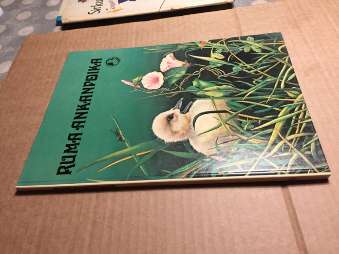MESTARIKUSTANNUS RUMA ANKANPOIKANEN HYVÄ