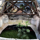 Nissan 200sx - pikkukuva 4