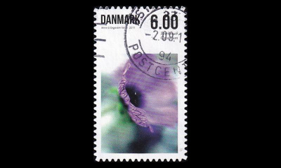 Tanska 1655C o Kesäkukkia (13½) (2011)