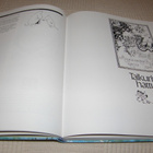 Tove Jansson Takaisin Muumilaaksoon - pikkukuva 3