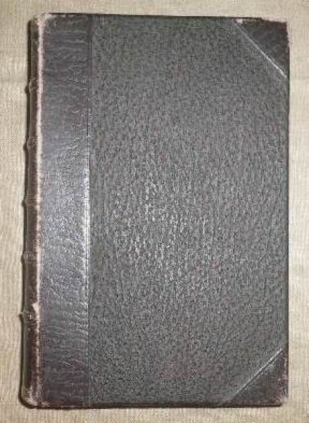 Hebräisches und Chaldäisches Handwörterbuch 1876