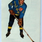 PENTTI RAUTALIN Rauman Lukko Champion 1966 - pikkukuva 1