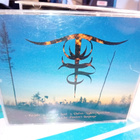 CD EP Valkyrend Variete : Kaihomieli Valpas ( SIS POSTIKULU - pikkukuva 2