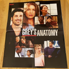 Greyn anatomia julisteet - pikkukuva 2