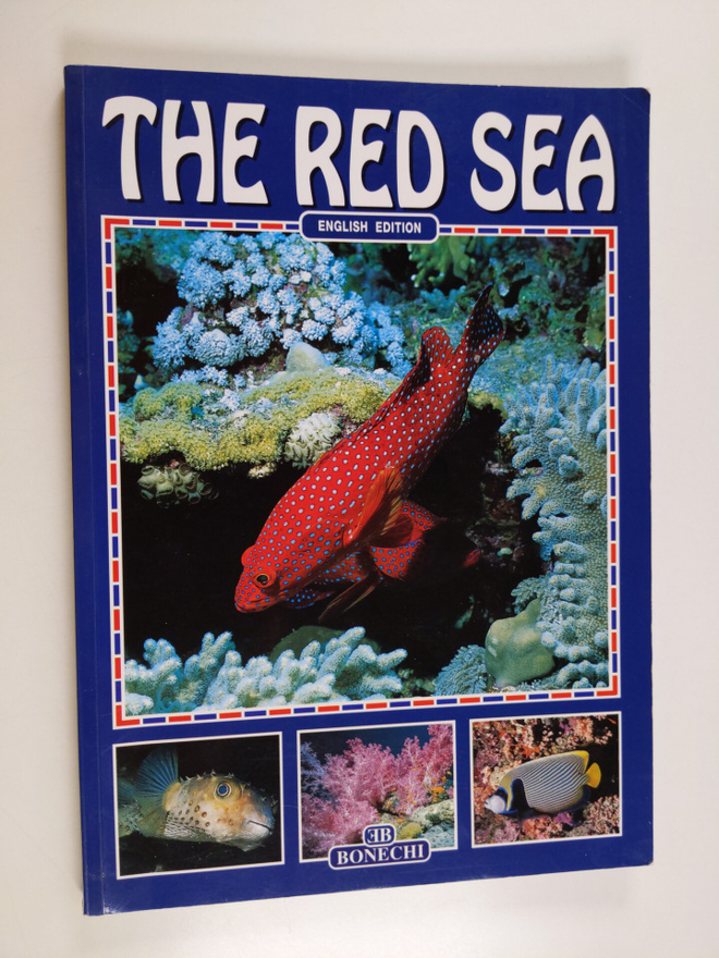 Andrea Ghisotti : The Red sea