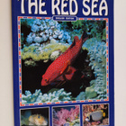 Andrea Ghisotti : The Red sea - pikkukuva 1