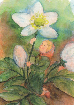 Stella Schupelius: Jouluruusulapsi