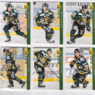 2012-13 Cardset Series 2 Ilves Team Set 12 korttia (205-216) - pikkukuva 2