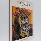Pablo Picasso ym. : Picasso - pikkukuva 1