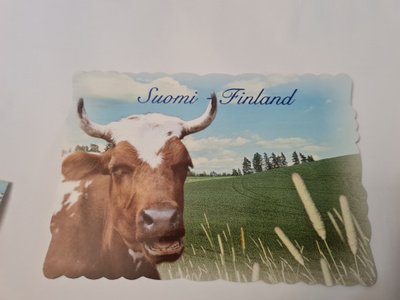Lehmä laitumella