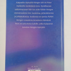 Peter Halldorf : Kaipaatko täyteyttä Hengen sen? - pikkukuva 2