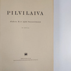 Pilvilaiva : Aleksis Kivi ajan kuvastimessa - pikkukuva 3