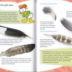 Sudenpentujen lintukäsikirja (sid. 2p. 2013) - pikkukuva 5