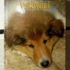 James Herriot - Kaikenkarvaiset ystäväni (sid.) - pikkukuva 1