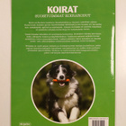 Päivi Romppainen : Koirat : suosituimmat koirarodut - pikkukuva 2