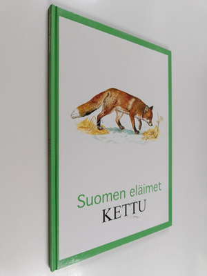 Kettu