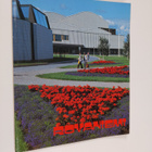 Aimo A. Tuomi : Rovaniemi - pikkukuva 1