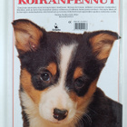 Koiranpennut : johdatus koiranpentujen maailmaan - pikkukuva 2