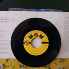 Hank Williams sinkku - pikkukuva 2