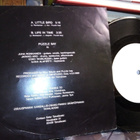 7" single :  Puzzle bay : LITTLE BIRD ( SIS POSTIKULU) - pikkukuva 2