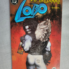 Lobo - DC spesiaali 1 / 1994 - pikkukuva 1